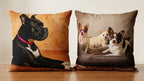 Cojin con imagen de mascota zara home